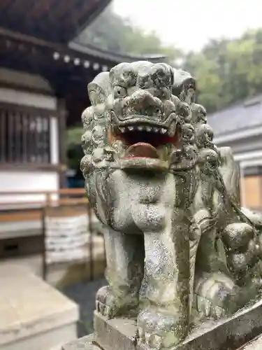 白山神社の狛犬