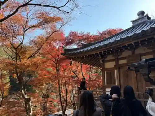 愛宕念仏寺(京都府)