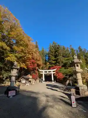 宝登山神社(埼玉県)