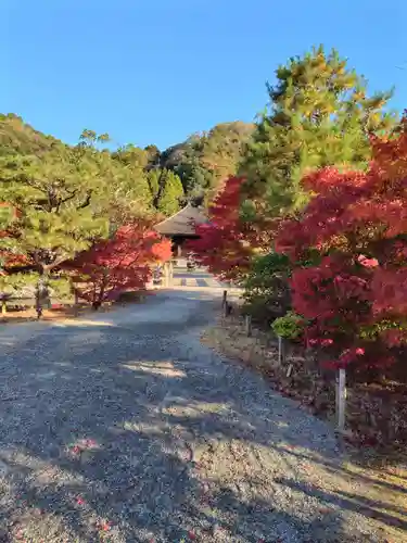 白水阿弥陀堂(福島県)