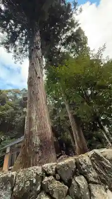 熊野神社(兵庫県)