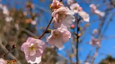 勧修寺(京都府)
