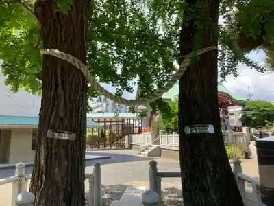 千住神社(東京都)