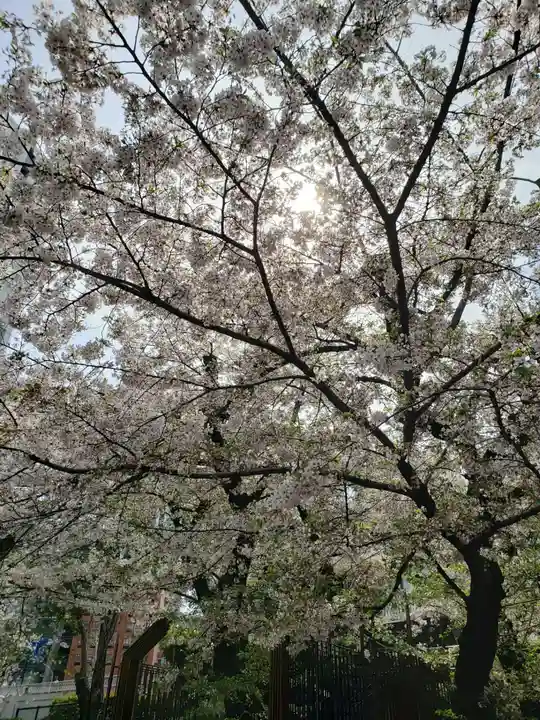 乃木神社(東京都)
