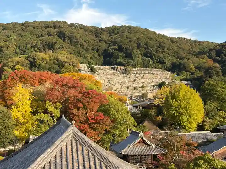 大雲院(京都府)