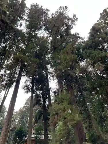 大宮温泉神社の自然