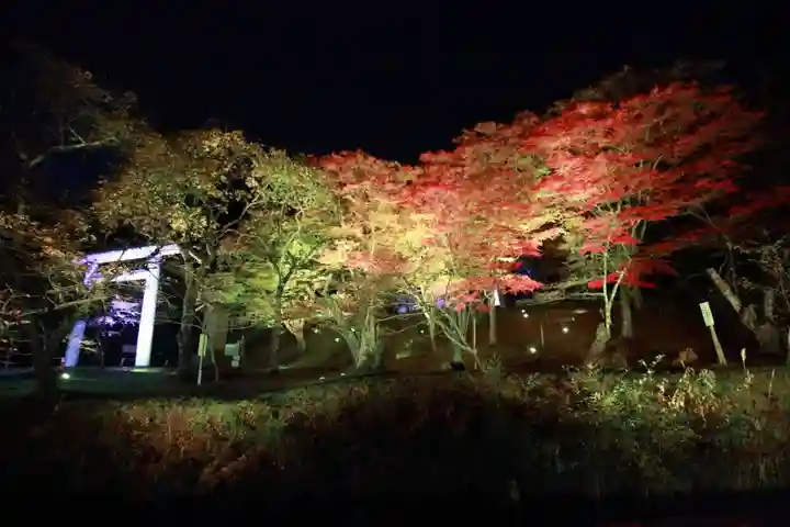 土津神社|こどもと出世の神さまの景色