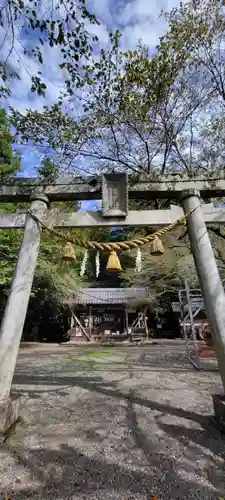 天鷹神社の鳥居