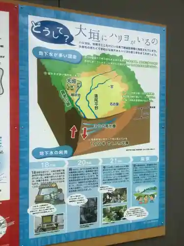 加賀野八幡神社の自然