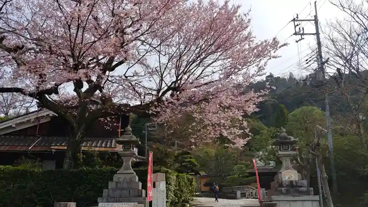 大豊神社の自然
