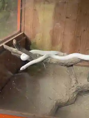 赤水蛇石神社(熊本県)
