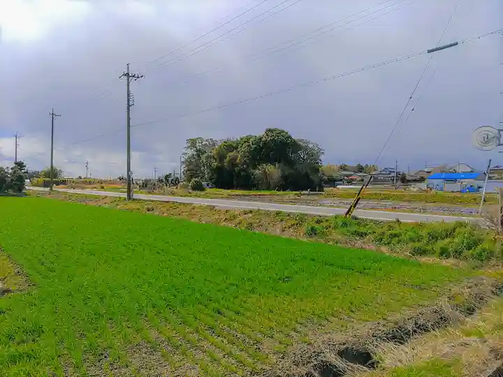 塩田神社の自然