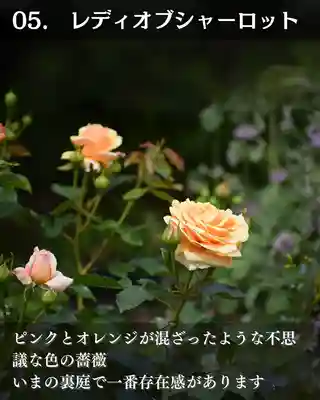 宝光寺(北海道)