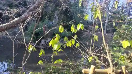 鍬山神社(京都府)
