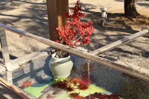 浅間神社(栃木県)
