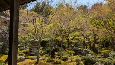 圓光寺(京都府)