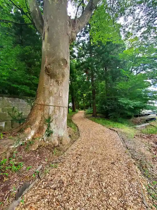 神炊館神社 ⁂奥州須賀川総鎮守⁂(福島県)