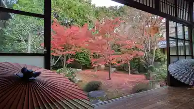 勝林寺(京都府)