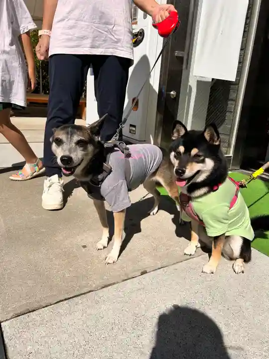【閉業】小石川大神宮(東京都)