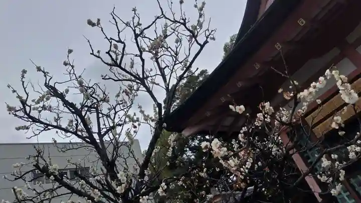 西院春日神社(京都府)
