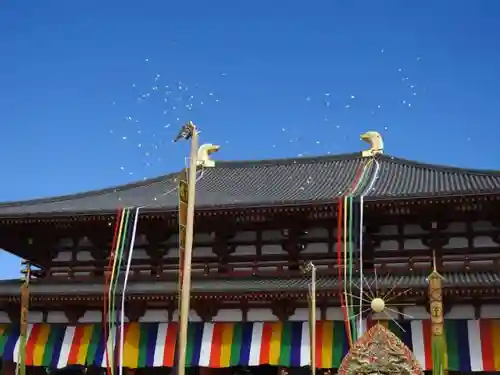 興福寺の本殿・本堂