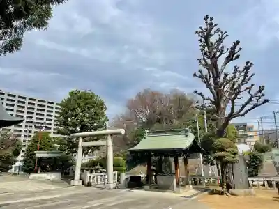 諏訪神社(東京都)