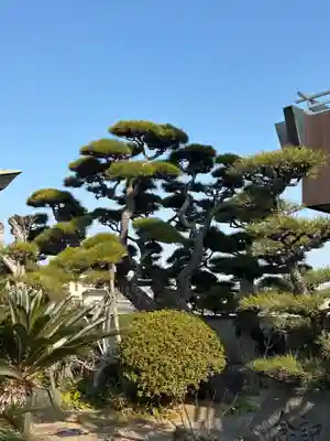 良仙寺(兵庫県)