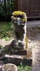 吉沢神明社の狛犬