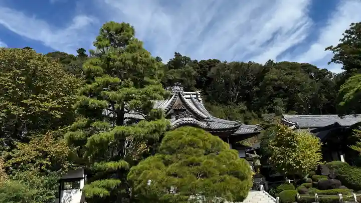 修禅寺(静岡県)