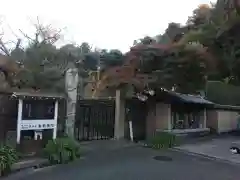 金龍院の山門