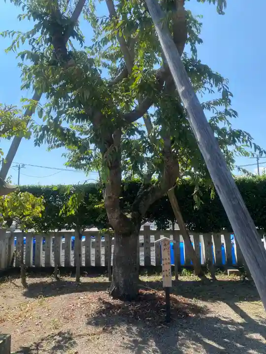 祖母井神社(栃木県)
