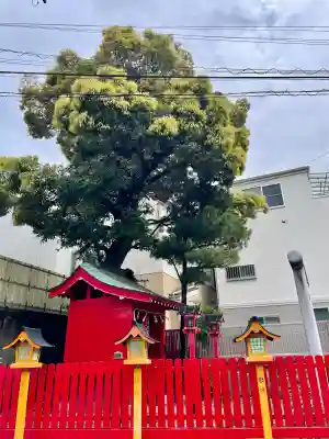 馬場子育稲荷神社の{uncategorized: "未分類", other: "その他", undefined: "問題あり", building: "その他建物", grave: "お墓", sacred_gate: "鳥居", guardian: "狛犬", statue: "像", buddha: "仏像", history: "歴史", nature: "自然", garden: "庭園", animal: "動物", pagoda: "塔", temizu: "手水舎", mountain_gate: "山門・神門", sanctuary: "本殿・本堂", subordinate: "末社・摂社", art: "芸術", scenery: "景色", jizo: "地蔵", ema: "絵馬", goshuin: "御朱印", omikuji: "おみくじ", items: "授与品その他", amulet: "お守り", goshuincho: "御朱印帳", eats: "食事", festival: "お祭り", votive_dance: "神楽", shichigosan: "七五三参", wedding: "結婚式", experience: "体験その他", initially: "初詣", around: "周辺", anti_infection: "感染症対策"}