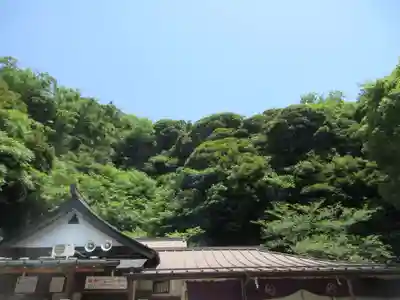 銭洗弁財天宇賀福神社(神奈川県)