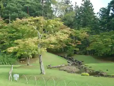 毛越寺(岩手県)