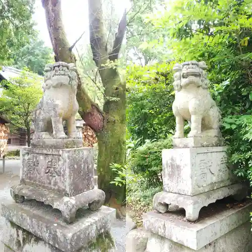 報徳二宮神社の狛犬