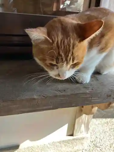 救馬溪観音(和歌山県)