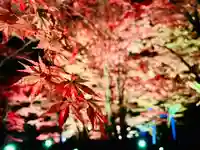 土津神社|こどもと出世の神さまの庭園