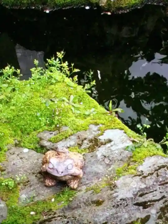 東光寺別院桜ヶ池不動院(東京都)