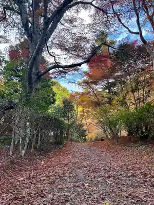 神藏寺(京都府)