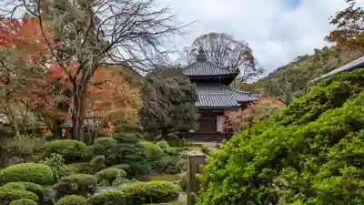 安楽寺(京都府)