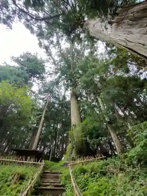 白鳥神社の自然