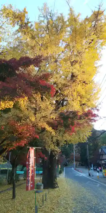 桃太郎神社(栗栖)の景色
