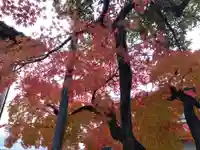 國神神社(福井県)