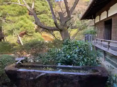 青蓮院(岡山県)