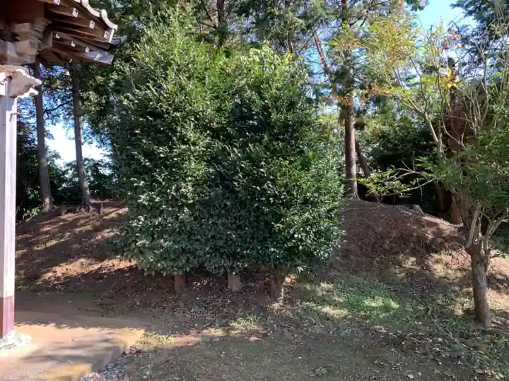 八幡神社(千葉県)