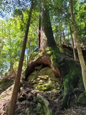 室生寺奥の院のその他建物