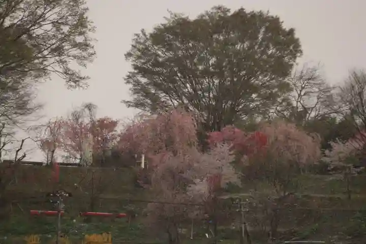 阿久津「田村神社」(郡山市阿久津町)旧社名:伊豆箱根三嶋三社の庭園