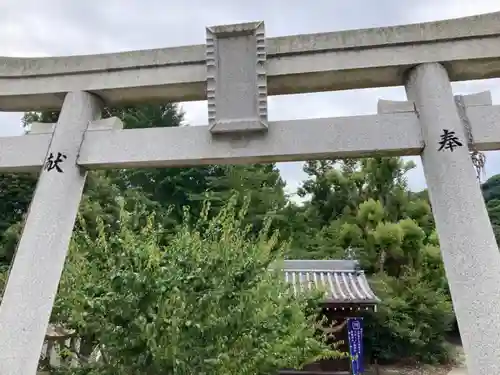 天満神社の鳥居