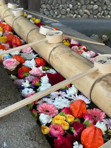 群馬県護国神社(群馬県)