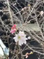 鶴林寺(兵庫県)